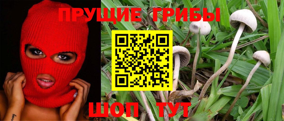 Псилоцибиновые грибы Psilocybe  Вход с VPN  Новый Уренгой 